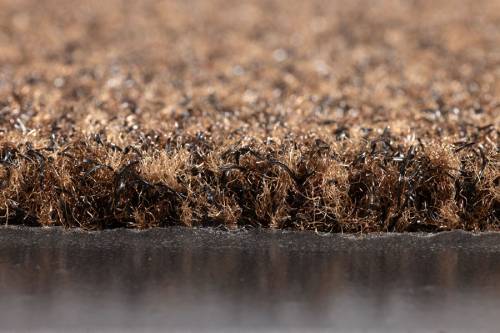 Preview: Schmutzfangmatte Eazycare Duet