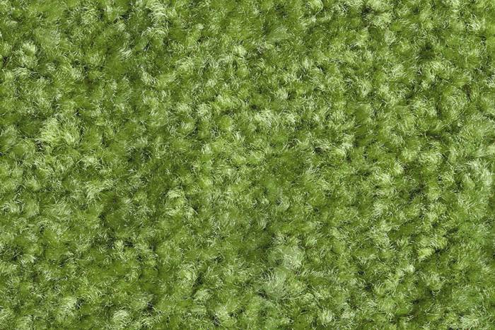 Preview: Schmutzfangmatte Eazycare Color