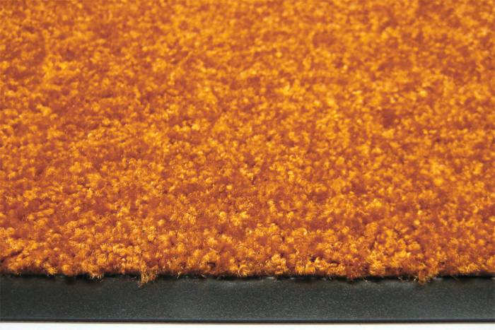 Schmutzfangmatte Eazycare Color