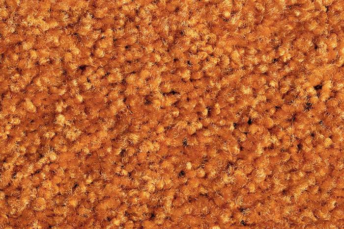 Preview: Schmutzfangmatte Eazycare Color