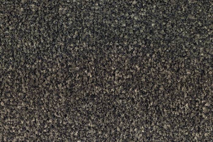 Preview: Schmutzfangmatte Eazycare Rush