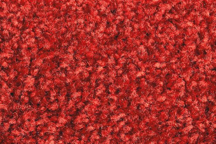 Schmutzfangmatte Eazycare Color